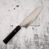 Takeshi Saji VG10 Rainbow Damascus Gyuto 180mm Ebony Handle Mosaic Pin