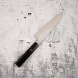 Takeshi Saji VG10 Rainbow Damascus Gyuto 180mm Ebony Handle Mosaic Pin