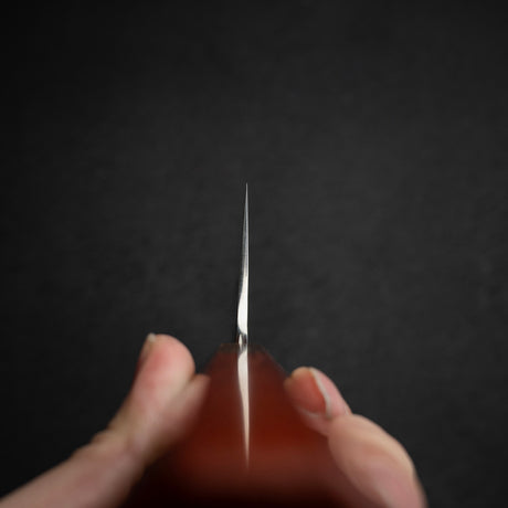 Yu Kurosaki Shizuku SG2 Gyuto 270mm