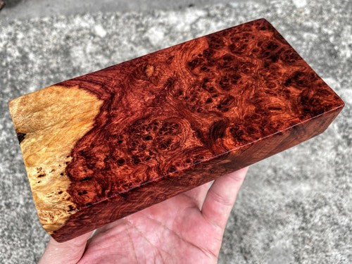 Ambonya Burl — 손잡이 소재