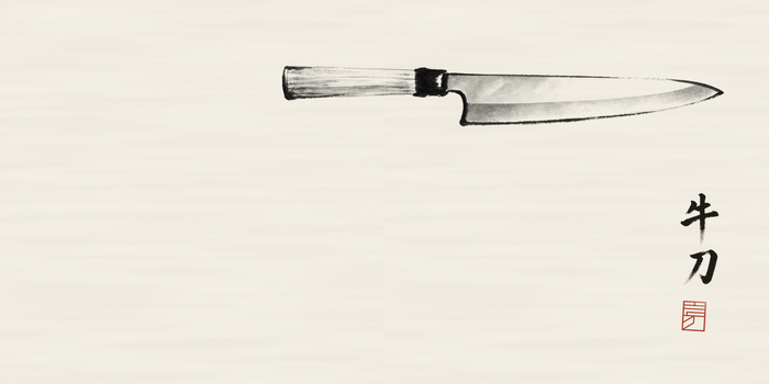 Gyuto: Japanese knife profile, sumi ink on washi